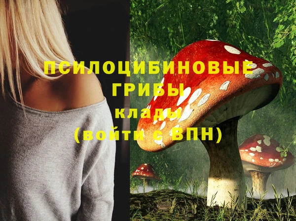 прущий лед Покров