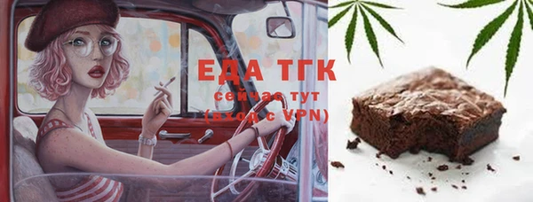 индика Покачи