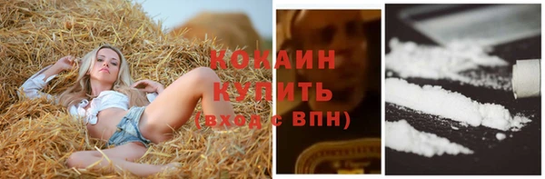 индика Ветлуга