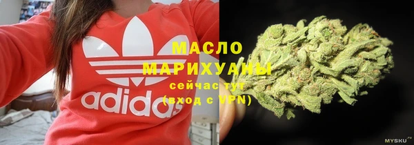 индика Ветлуга