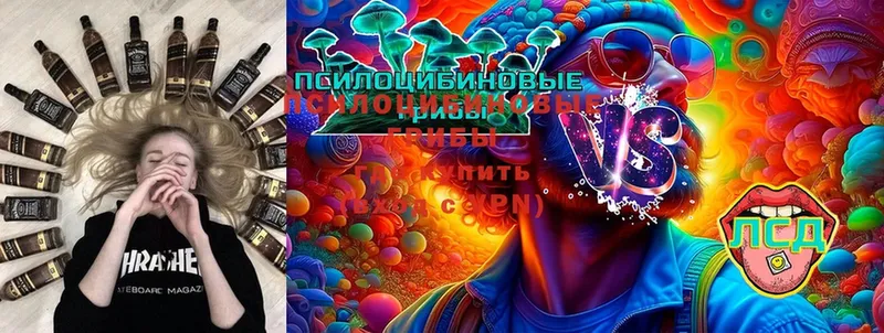 Псилоцибиновые грибы Psilocybine cubensis  что такое наркотик  Почеп 