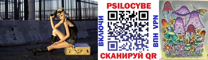 цена наркотик  Почеп  hydra ссылка  Галлюциногенные грибы Psilocybe 