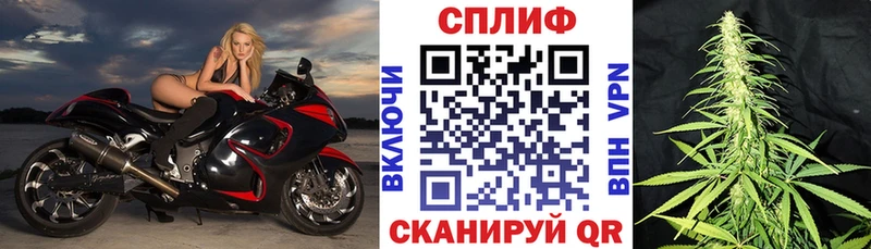 продажа наркотиков  Почеп  Бошки марихуана гибрид 
